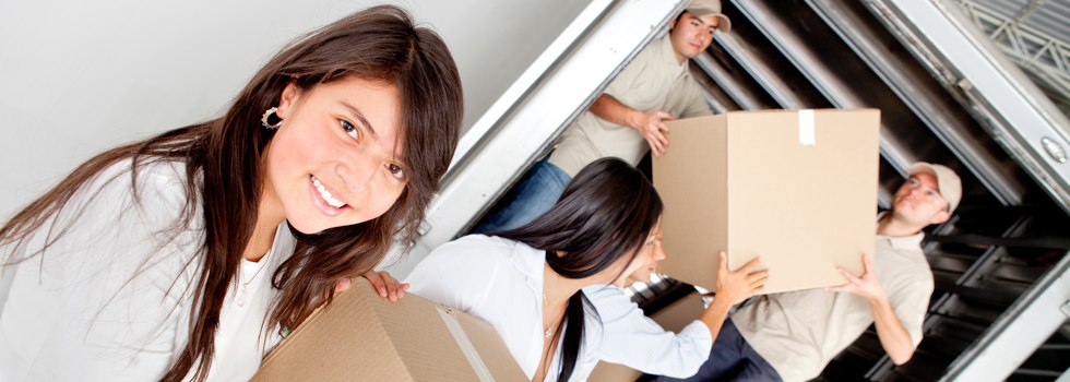 Professional Removalists Castlemaine